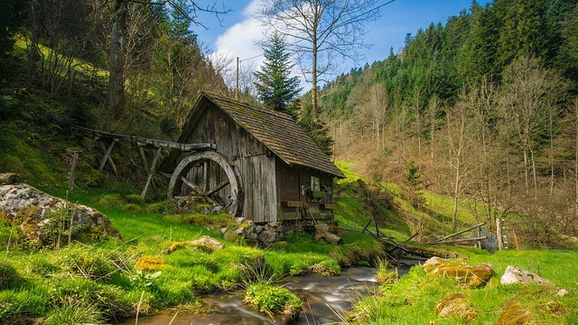 Follow the Bread Crumbs through the Black Forest