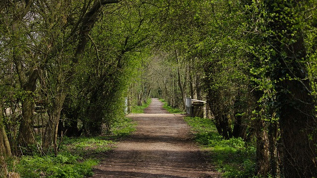 Relive Your Childhood in the Ashdown Forest