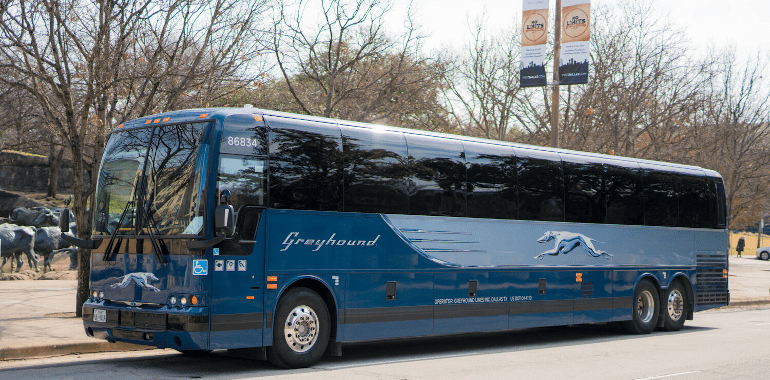 Greyhound Bus