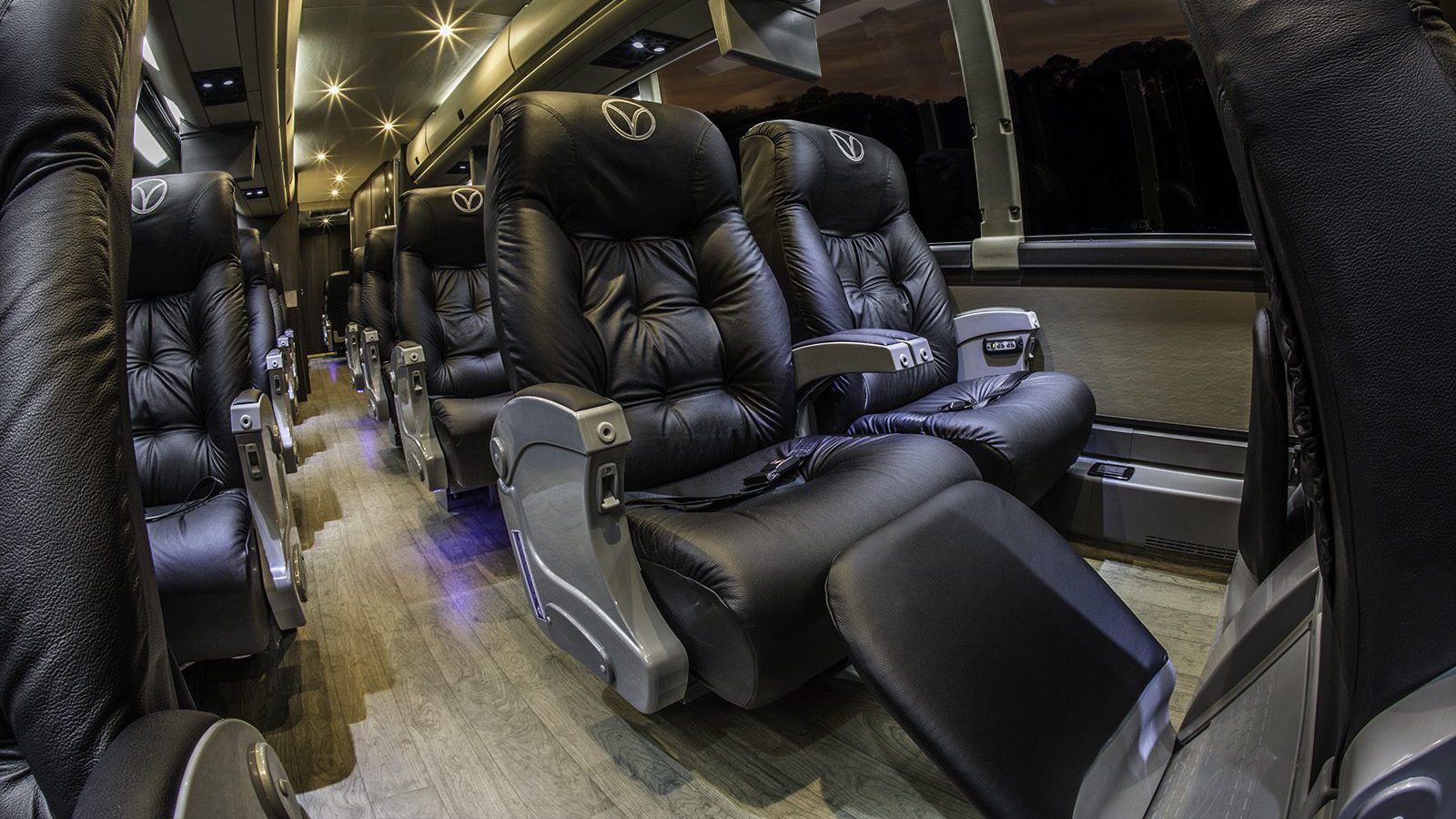 Luxury buses